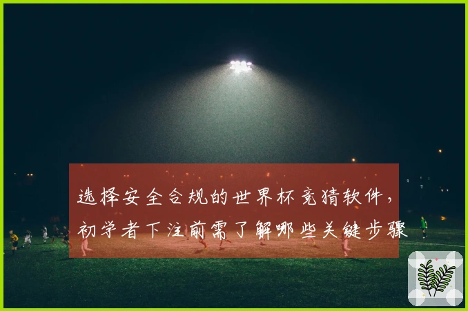 选择安全合规的世界杯竞猜软件，初学者下注前需了解哪些关键步骤和风险？