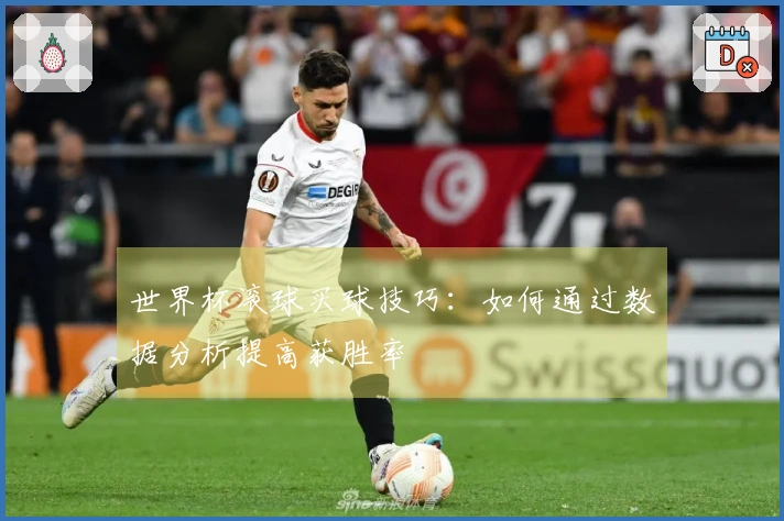 世界杯滚球买球技巧：如何通过数据分析提高获胜率