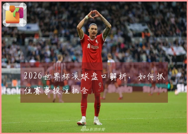2026世界杯滚球盘口解析，如何抓住赛事投注机会