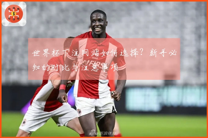 世界杯下注网站如何选择？新手必知的对比与注意事项