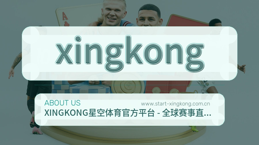<strong>xingkong</strong>品牌定位说明